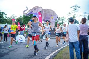 BIB: 
                            <button type="button" onclick="openModal(26551652)" class="btn btn-primary btn-sm float-right btn-popup" data-toggle="modal" data-target=".modal-high-quality">
                        <i class="fas fa-shopping-cart"></i> Add to Cart
                    </button>
                                            <button type="button" onclick="isThisMe(26551652, true)" class="btn btn-success btn-sm float-right btn-popup btn-isme hidden" data-toggle="tooltip" data-placement="bottom" title="นี่คือรูปของคุณใช่ไหม คลิกที่นี่เพื่อเอาเข้าอัลบั้ม">
                        <i class="fas fa-plus"></i> Add to album
                    </button>
                    <button type="button" onclick="isThisMe(26551652, false)" class="btn btn-warning btn-sm float-right btn-popup btn-isnotme hidden">
                        <i class="fas fa-ban"></i> Remove from album
                    </button>